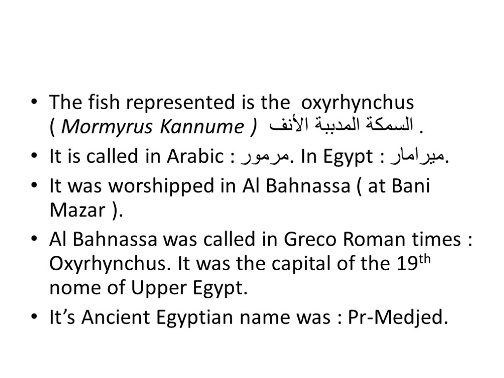 The fish represented is the oxyrhynchus ( Mormyrus Kannume ) السمكة المدببة الأنف .